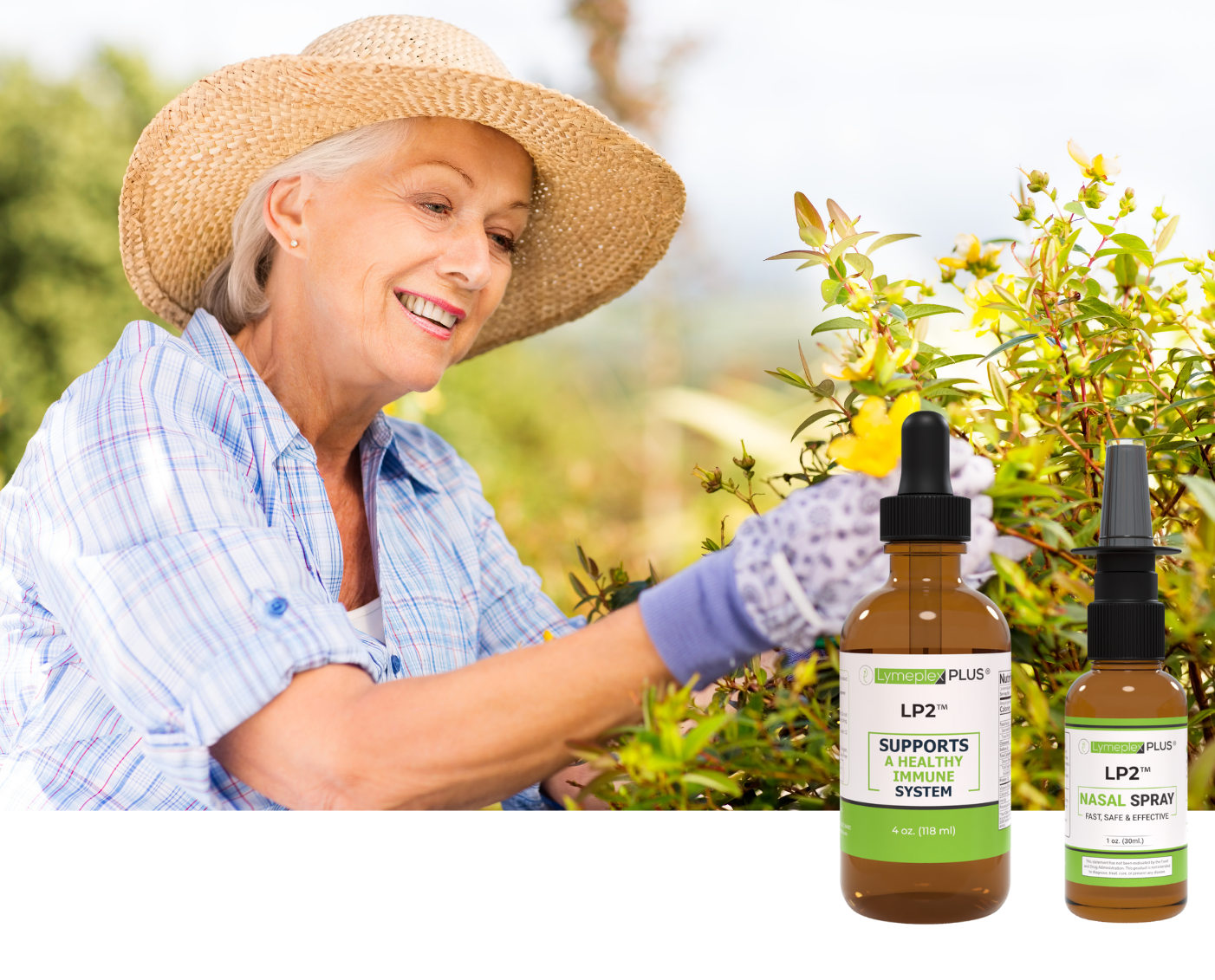 NAC for Lyme Disease Recovery