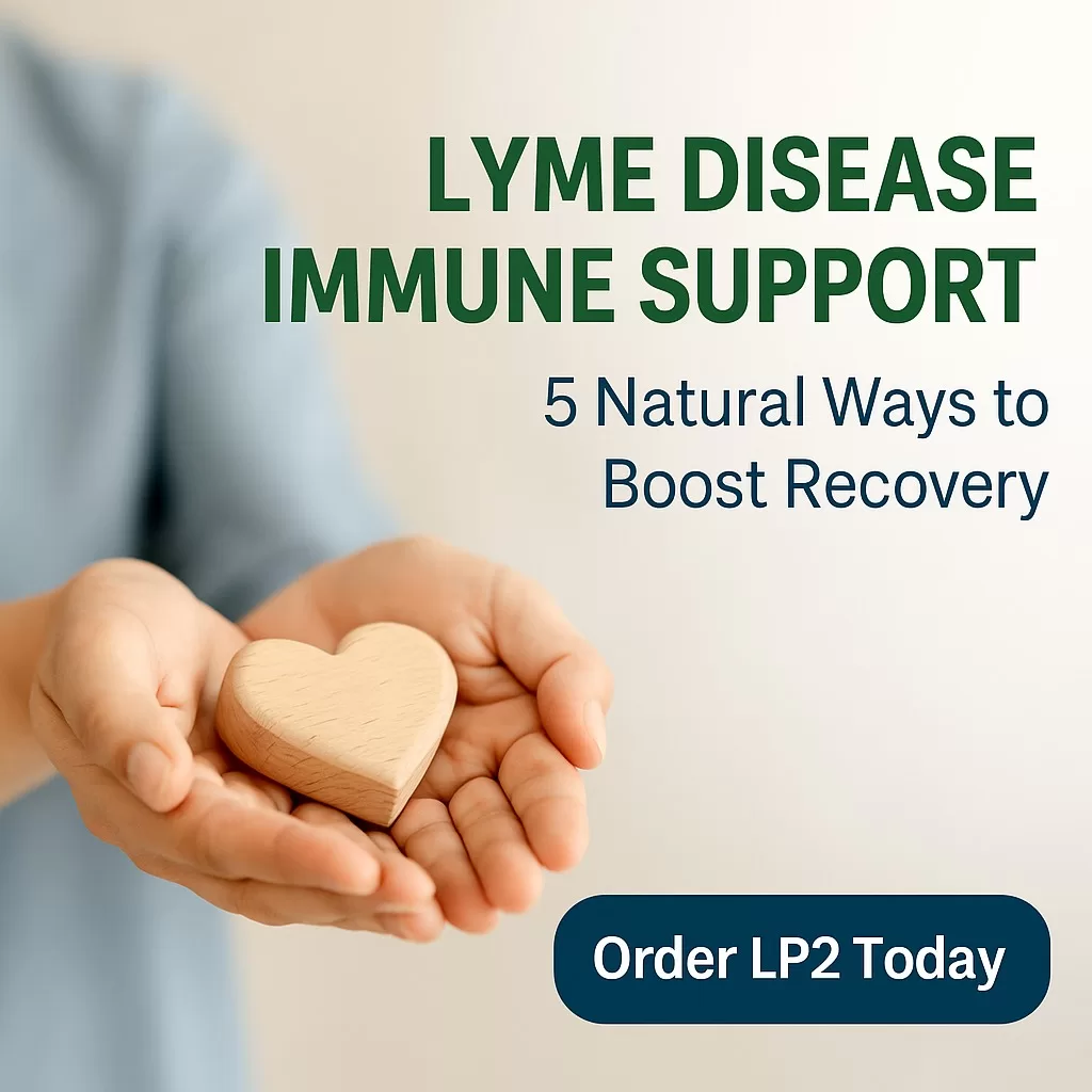 Immune support during Lyme disease recovery