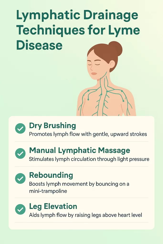 lymphatic detox for gut health and Lyme recovery